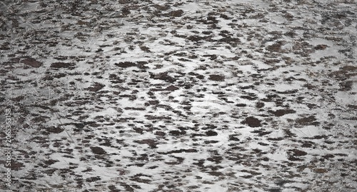 Canvas Print Rough cast iron texture background