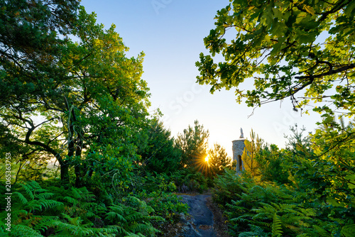 The Virgin tower on the Corne-Biche rock in Fontainebleau forest