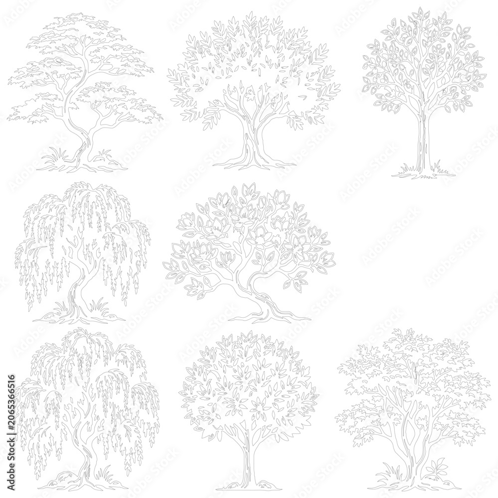 Fototapeta premium Minimalist tree line art collection, set of 8 hand drawn botanical sketches, black and white nature vector illustrations for landscape design