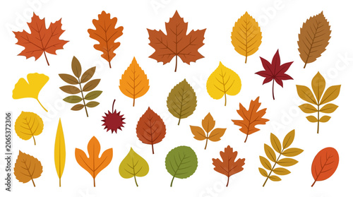 Autumn Leaves Pattern - Fall Foliage Design Elements