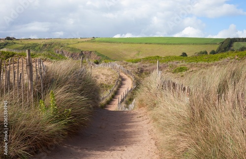 Path through sand dunes, Devon, England
