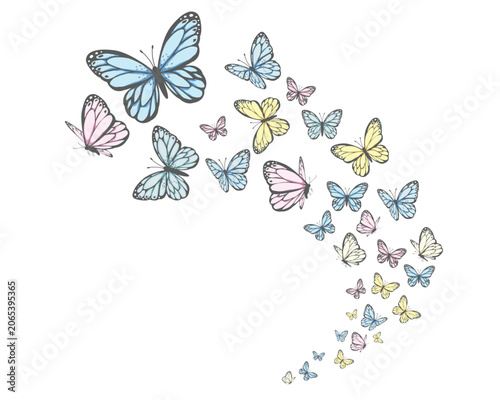 set of butterflies colorful flock butterfly set