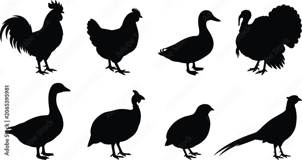 Obraz premium Farm Bird Silhouette Collection Featuring Poultry Waterfowl and Game Bird Species