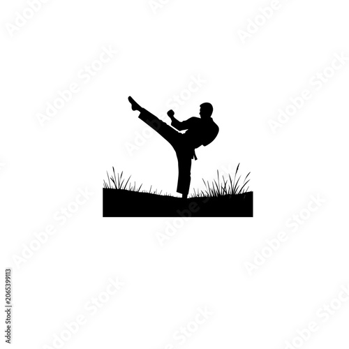 Martial Arts High Kick Silhouette Illustration