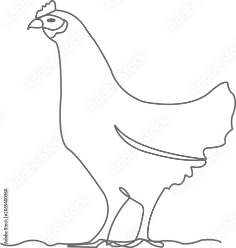 Single line drawing of a chicken standing on ground bird fowl