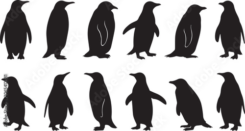 Tableau sur toile black silhouettes of penguins in various poses on white background