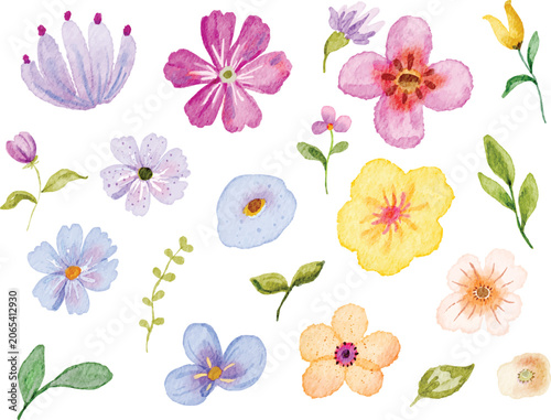 Watercolor Flower Collection Illustration