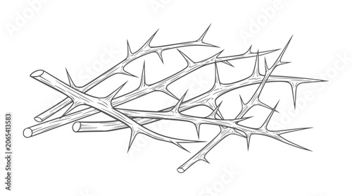 Schilderij op canvas Of sharp thorny branches intertwined thorns prickly natural