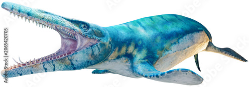 Foto Close-up side view of a Tylosaur - isolated on White background