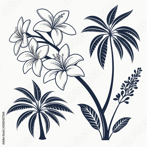 Valokuva Tropical floral illustration with palm trees and lilies tropical illustration bo