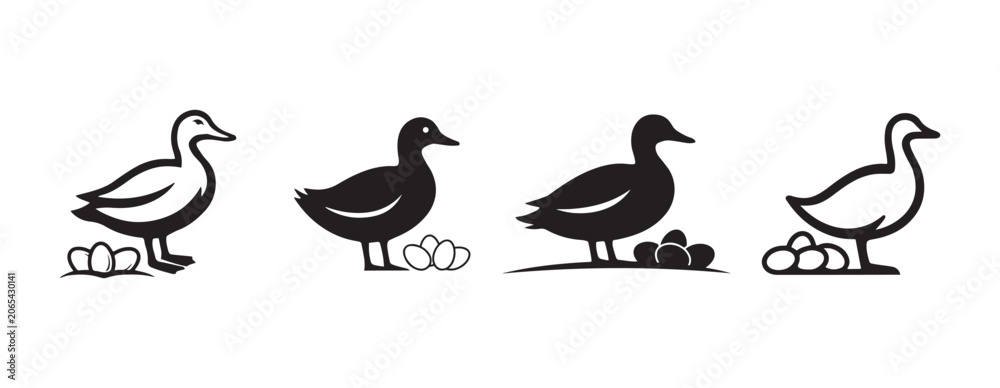 Obraz premium Black and White Duck Family Artwork