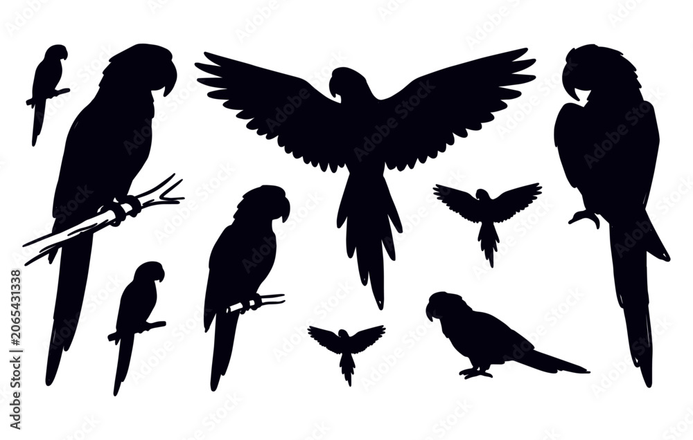 Fototapeta premium Parrot Tropical Bird Silhouette Set