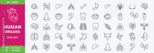 Human organs Line Editable Icons set. Contain icons related to human body, anatomy, organ, body parts, and more. Editable stroke. Vector illustration