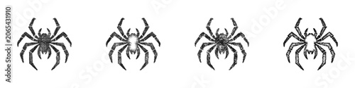Fotografi Sketch tarantula logo design set