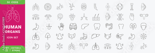 Human organs Line Editable Icons set. Contain icons related to human body, anatomy, organ, body parts, and more. Editable stroke. Vector illustration