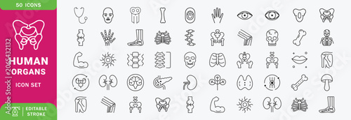 Human organs Line Editable Icons set. Contain icons related to human body, anatomy, organ, body parts, and more. Editable stroke. Vector illustration