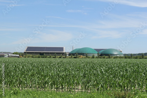 a biogas plant and a field with corn in front in the dutch countryside in summer