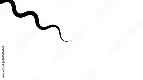Animated Wavy Line Drawing – Abstract Curved Stroke Motion Graphic on White Background