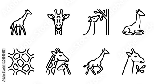 Photography Minimalist Giraffe Icons Set, Safari Wildlife Vector Graphics, African Animals L