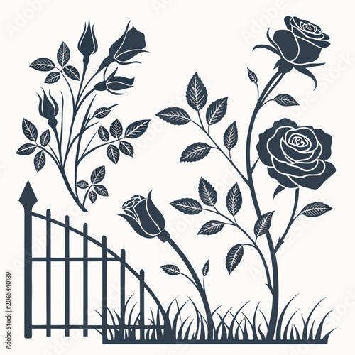 Photos Two black roses with leaves and buds on stems behind a fence graphics illustrati