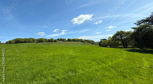 A wide green meadow breathes beneath a bright blue sky, where a quiet line of trees casts soft, wandering shadows across the grass near Cullingworth, Yorkshire, UK