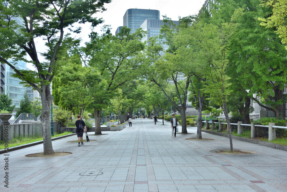 Fototapeta premium 大阪市役所の南歩道
