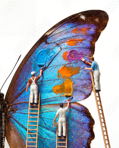 Butterfly wing illustration for creative repair banner with workers painting colors