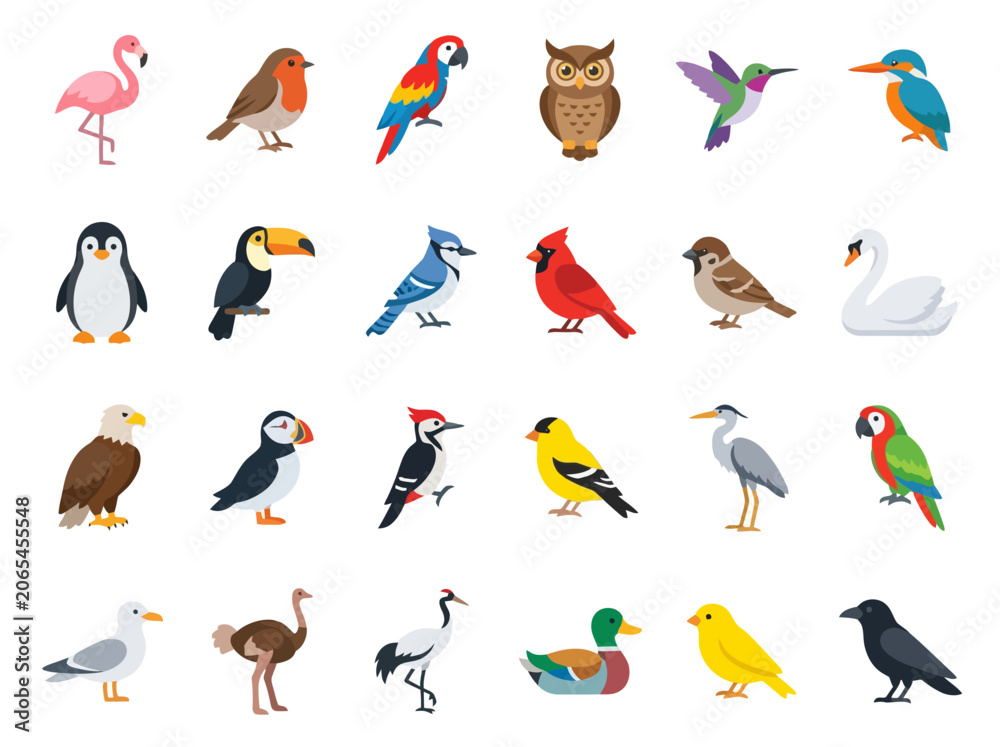 Fototapeta premium A collection of various colorful bird species illustrated in a flat vector style.