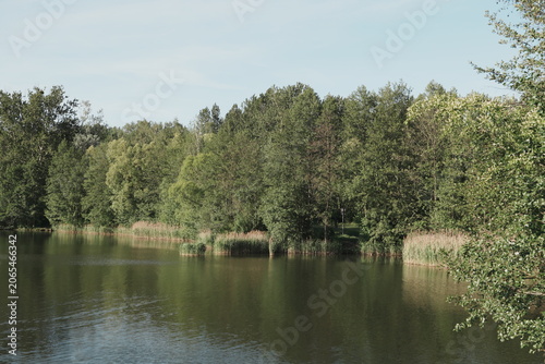 Tranquil Lake Reflecting Blue Sky and Green Trees in Serene Summer Landscape Idyllic Natural Backdrop for Peaceful Concepts