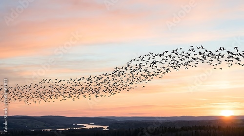 Starlings form a large murmuration in the sky during a vibrant sunset over the horizon as they migrate across the peaceful countryside landscape.