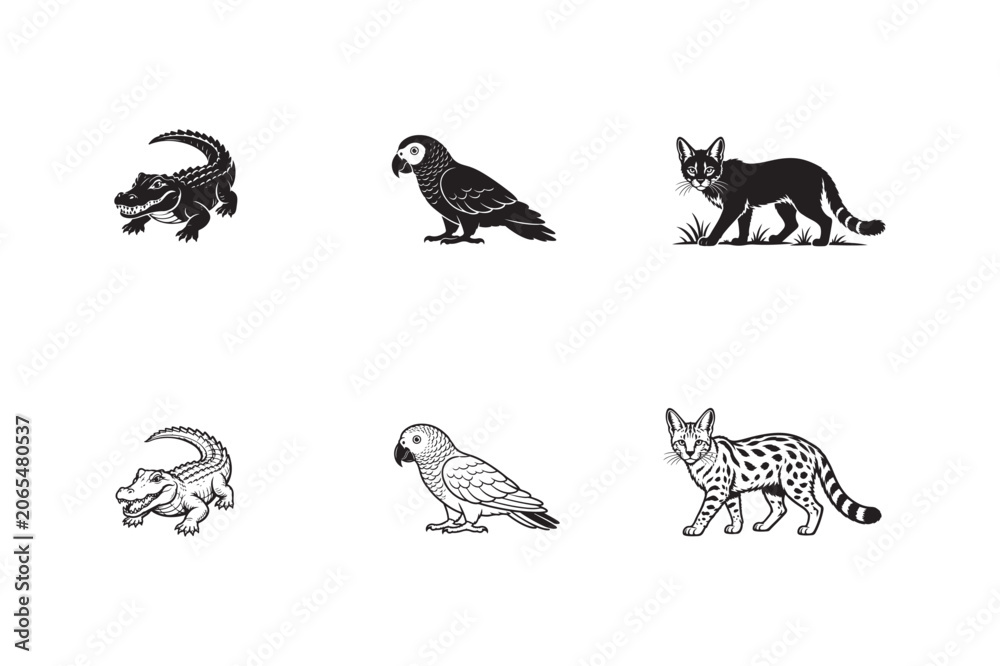 Obraz premium Wildlife Animal Silhouette and Line Art Vector Set
