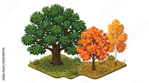 Diverse group of trees including a large green oak, an orange maple, and a white birch on a grassy isometric terrain patch seasonal autumn foliage changes.