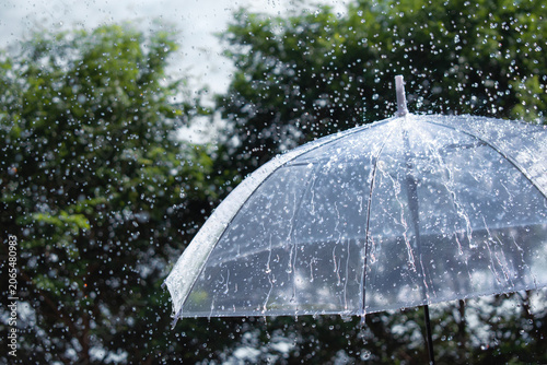 Transparent umbrella under heavy rain with water droplets, rainy weather concept, protection from storm and seasonal rainfall in nature.