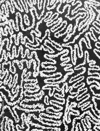 Abstract black and white art, lines on textured background. 