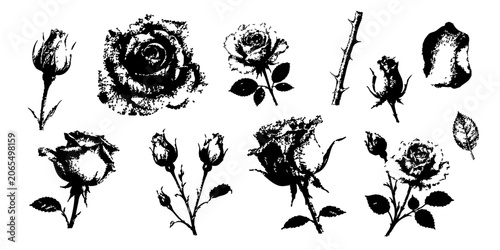 Vintage distressed rose botanical element set with floral illustrations