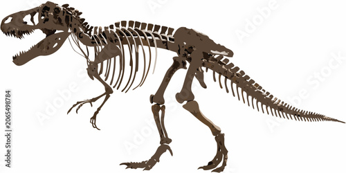 Tableau sur toile Tyrannosaurus Rex Skeleton Vector Illustration On White Background