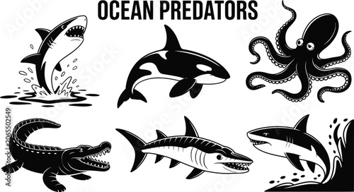 Photography Ocean predators black silhouettes set of powerful marine animals on transparent background
