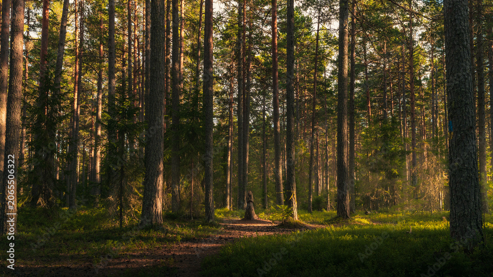 Fototapeta premium Wooden piece of catholic virgin in the forest 