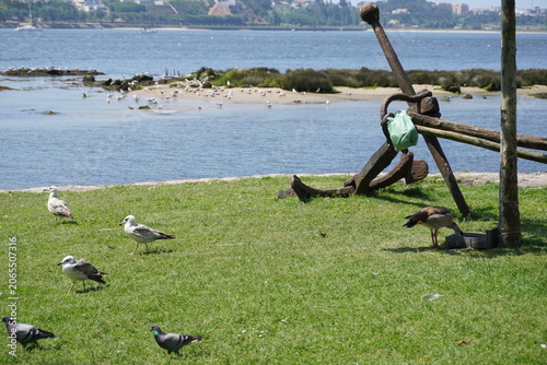 anchor on the shore of douro river in port
