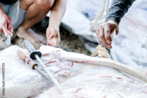 Tableau sur toile Butchers processing fresh meat on a tarp outdoors, closeup of sharpening steels