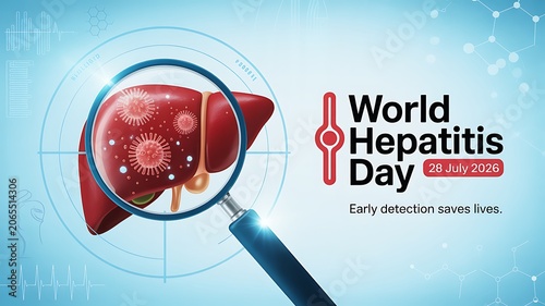 World hepatitis day medical concept with liver and magnifier