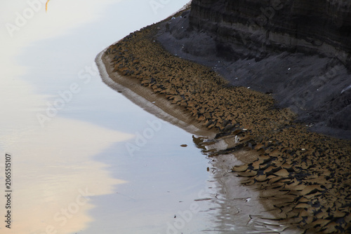 Abstract shape and texture of sand and water