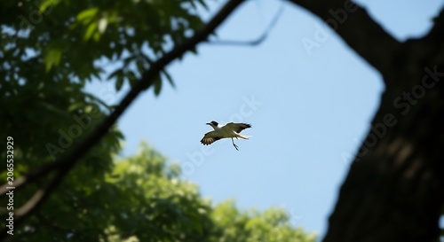 Majestic Bird Soaring Through Dense Green Forest Canopy.