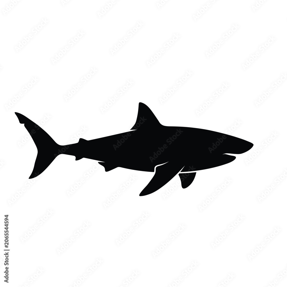 Obraz premium shark vector illustration
