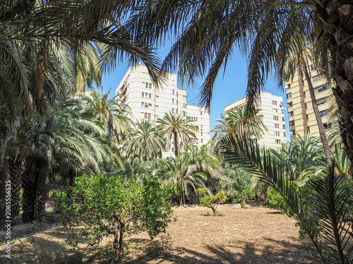 View in Alicante with Palm Trees and Mediterranean Architecture in Spain