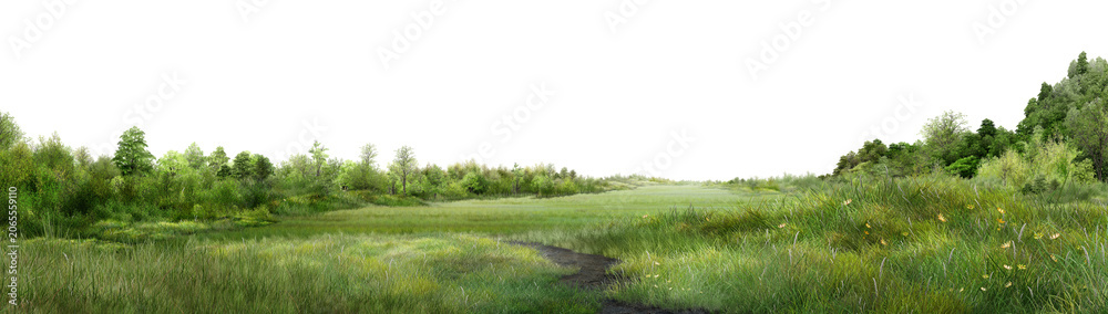 Fototapeta premium grass, High-resolution natural scenery ideal for environmental, landscaping, background, and design projects.