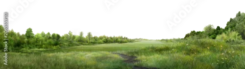 Panel kuchenny z motywem grass, High-resolution natural scenery ideal for environmental, landscaping, background, and design projects.