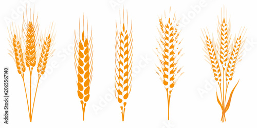 Quadro su tela Orange wheat bundles stylized vector illustration on a white background