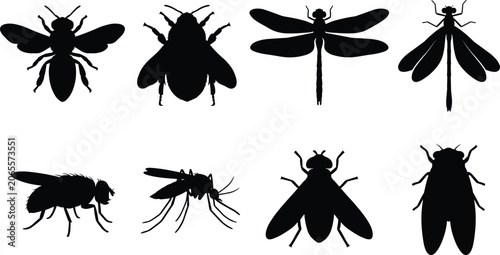 Schilderij op canvas Flying Insects and Bugs Vector Silhouettes Icon Set Featuring Honeybee Bumblebee