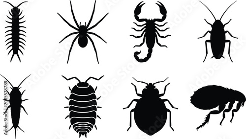 Foto Household Pests and Insects Silhouette Vector Icon Set Featuring Spider Centiped